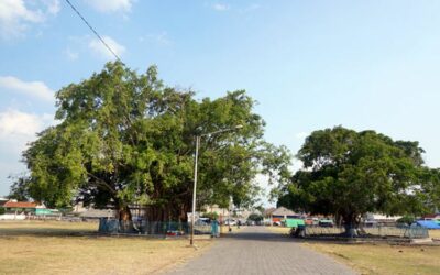 Kemasyuran Alun Alun Kidul Surakarta